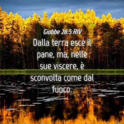 Picture 04 - Giobbe 28:5 RIV - Dalla terra esce il pane, ma, nelle sue viscere, - Bible Verse Picture