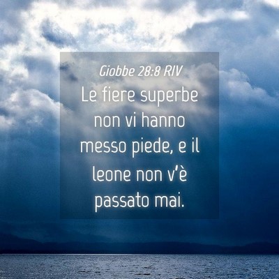 Picture 04 - Giobbe 28:8 RIV - Le fiere superbe non vi hanno messo piede, e il - Bible Verse Picture