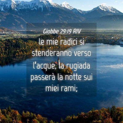 Picture 04 - Giobbe 29:19 RIV - le mie radici si stenderanno verso l’acque, la - Bible Verse Picture
