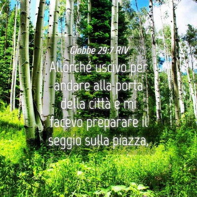 Picture 04 - Giobbe 29:7 RIV - Allorché uscivo per andare alla porta della - Bible Verse Picture