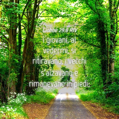 Picture 04 - Giobbe 29:8 RIV - i giovani, al vedermi, si ritiravano, i vecchi - Bible Verse Picture