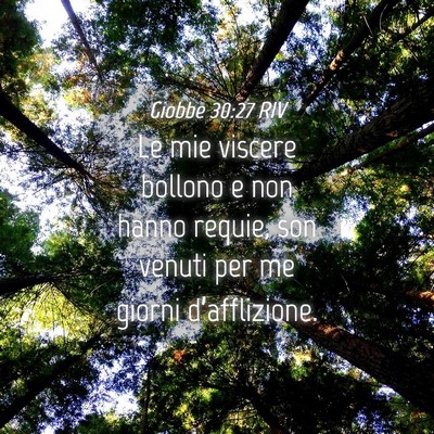 Picture 04 - Giobbe 30:27 RIV - Le mie viscere bollono e non hanno requie, son - Bible Verse Picture