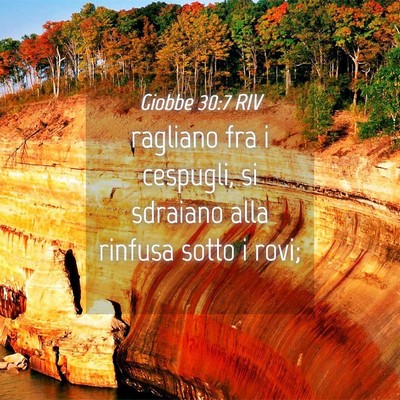 Picture 04 - Giobbe 30:7 RIV - ragliano fra i cespugli, si sdraiano alla rinfusa - Bible Verse Picture