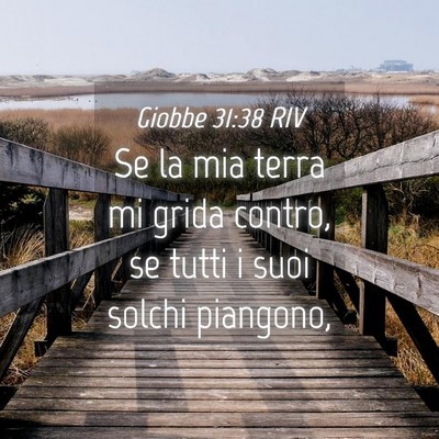 Picture 04 - Giobbe 31:38 RIV - Se la mia terra mi grida contro, se tutti i suoi - Bible Verse Picture