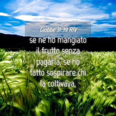 Picture 04 - Giobbe 31:39 RIV - se ne ho mangiato il frutto senza pagarla, se ho - Bible Verse Picture