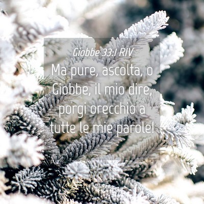 Picture 04 - Giobbe 33:1 RIV - Ma pure, ascolta, o Giobbe, il mio dire, porgi - Bible Verse Picture