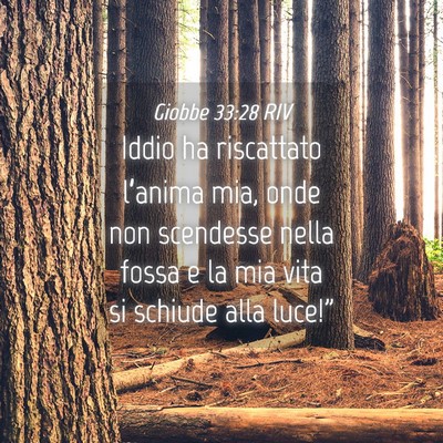 Picture 04 - Giobbe 33:28 RIV - Iddio ha riscattato l’anima mia, onde non - Bible Verse Picture