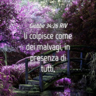 Picture 04 - Giobbe 34:26 RIV - li colpisce come dei malvagi, in presenza di - Bible Verse Picture