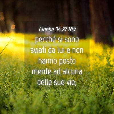 Picture 04 - Giobbe 34:27 RIV - perché si sono sviati da lui e non hanno posto - Bible Verse Picture