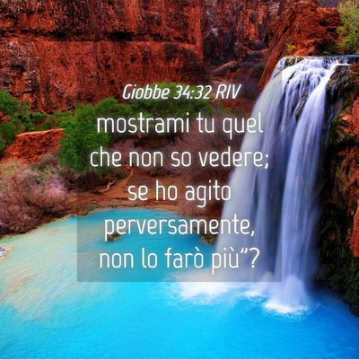 Picture 04 - Giobbe 34:32 RIV - mostrami tu quel che non so vedere; se ho agito - Bible Verse Picture
