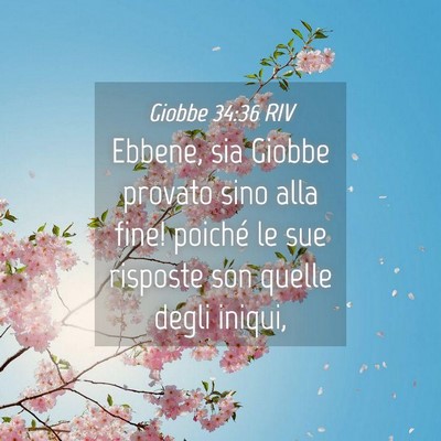 Picture 04 - Giobbe 34:36 RIV - Ebbene, sia Giobbe provato sino alla fine! - Bible Verse Picture