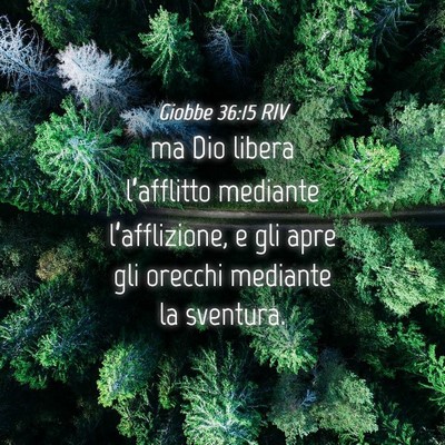 Picture 04 - Giobbe 36:15 RIV - ma Dio libera l’afflitto mediante - Bible Verse Picture