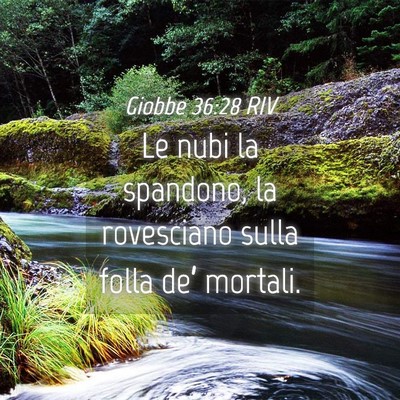 Picture 04 - Giobbe 36:28 RIV - Le nubi la spandono, la rovesciano sulla folla - Bible Verse Picture