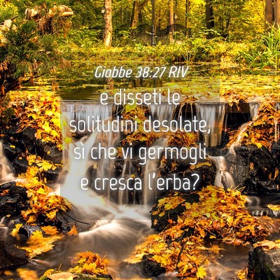 Picture 04 - Giobbe 38:27 RIV - e disseti le solitudini desolate, sì che vi - Bible Verse Picture