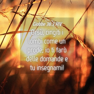 Picture 04 - Giobbe 38:3 RIV - Orsù, cingiti i lombi come un prode; io ti farò - Bible Verse Picture