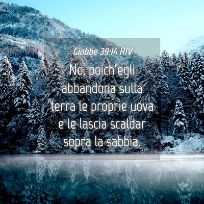 Picture 04 - Giobbe 39:14 RIV - No, poich’egli abbandona sulla terra le proprie - Bible Verse Picture