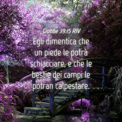 Picture 04 - Giobbe 39:15 RIV - Egli dimentica che un piede le potrà - Bible Verse Picture