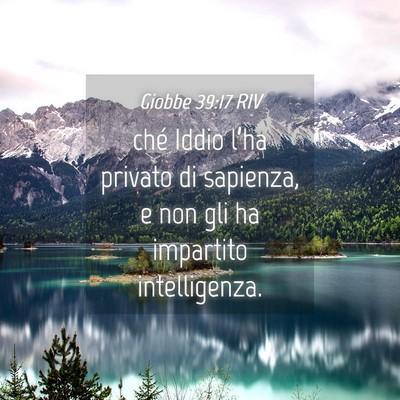 Picture 04 - Giobbe 39:17 RIV - ché Iddio l’ha privato di sapienza, e non gli - Bible Verse Picture