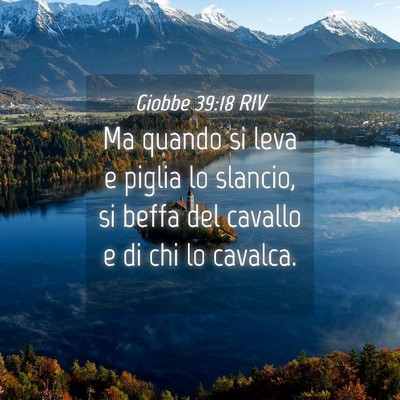 Picture 04 - Giobbe 39:18 RIV - Ma quando si leva e piglia lo slancio, si beffa - Bible Verse Picture