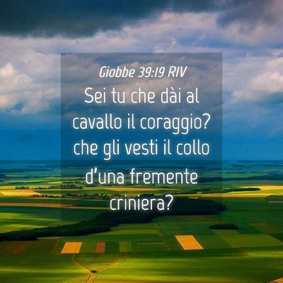 Picture 04 - Giobbe 39:19 RIV - Sei tu che dài al cavallo il coraggio? che gli - Bible Verse Picture
