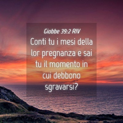 Picture 04 - Giobbe 39:2 RIV - Conti tu i mesi della lor pregnanza e sai tu il - Bible Verse Picture