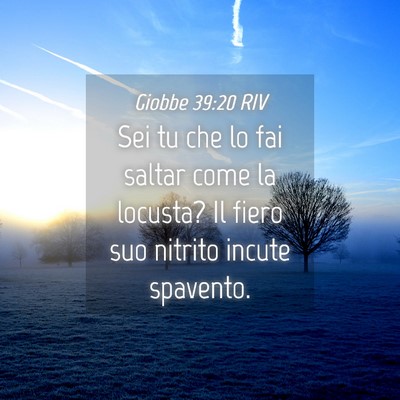 Picture 04 - Giobbe 39:20 RIV - Sei tu che lo fai saltar come la locusta? Il - Bible Verse Picture
