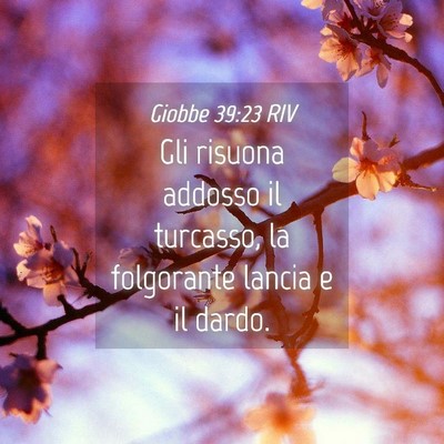 Picture 04 - Giobbe 39:23 RIV - Gli risuona addosso il turcasso, la folgorante - Bible Verse Picture