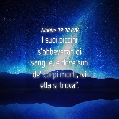 Picture 04 - Giobbe 39:30 RIV - I suoi piccini s’abbeveran di sangue, e dove - Bible Verse Picture