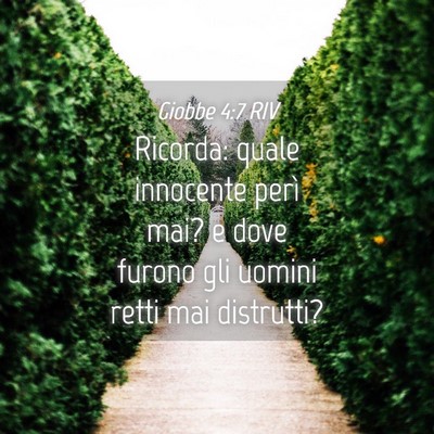 Picture 04 - Giobbe 4:7 RIV - Ricorda: quale innocente perì mai? e dove furono - Bible Verse Picture