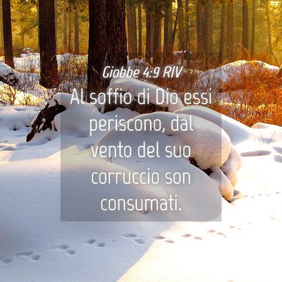 Picture 04 - Giobbe 4:9 RIV - Al soffio di Dio essi periscono, dal vento del - Bible Verse Picture