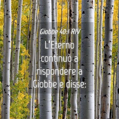 Picture 04 - Giobbe 40:1 RIV - L’Eterno continuò a rispondere a Giobbe e - Bible Verse Picture