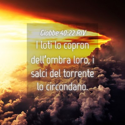 Picture 04 - Giobbe 40:22 RIV - I loti lo copron dell’ombra loro, i salci del - Bible Verse Picture