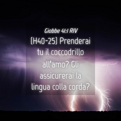 Picture 04 - Giobbe 41:1 RIV - (H40-25) Prenderai tu il coccodrillo all’amo? - Bible Verse Picture