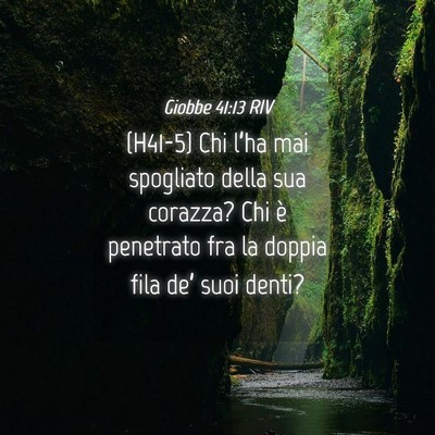Picture 04 - Giobbe 41:13 RIV - (H41-5) Chi l’ha mai spogliato della sua - Bible Verse Picture