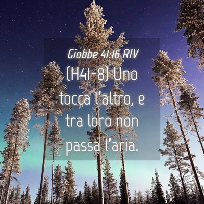 Picture 04 - Giobbe 41:16 RIV - (H41-8) Uno tocca l’altro, e tra loro non passa - Bible Verse Picture