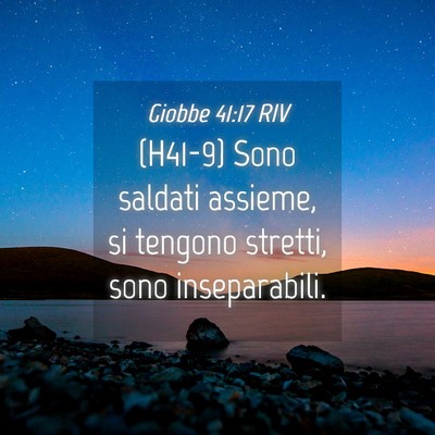 Picture 04 - Giobbe 41:17 RIV - (H41-9) Sono saldati assieme, si tengono stretti, - Bible Verse Picture