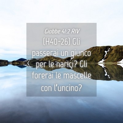 Picture 04 - Giobbe 41:2 RIV - (H40-26) Gli passerai un giunco per le narici? - Bible Verse Picture