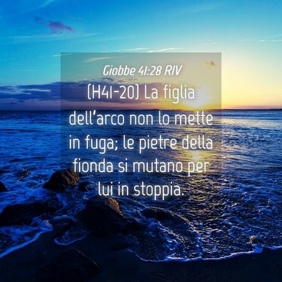 Picture 04 - Giobbe 41:28 RIV - (H41-20) La figlia dell’arco non lo mette in - Bible Verse Picture