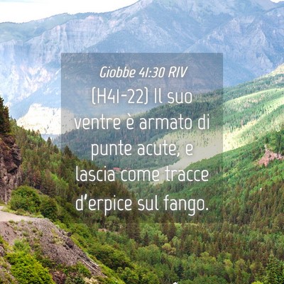 Picture 04 - Giobbe 41:30 RIV - (H41-22) Il suo ventre è armato di punte acute, - Bible Verse Picture