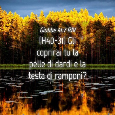Picture 04 - Giobbe 41:7 RIV - (H40-31) Gli coprirai tu la pelle di dardi e la - Bible Verse Picture