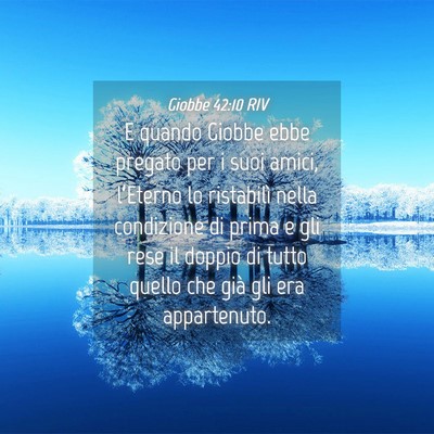 Picture 04 - Giobbe 42:10 RIV - E quando Giobbe ebbe pregato per i suoi amici, - Bible Verse Picture