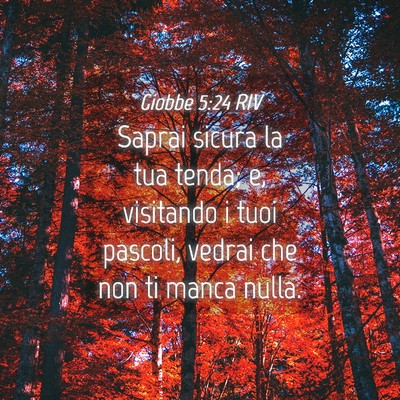 Picture 04 - Giobbe 5:24 RIV - Saprai sicura la tua tenda; e, visitando i tuoi - Bible Verse Picture
