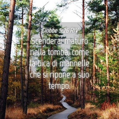 Picture 04 - Giobbe 5:26 RIV - Scenderai maturo nella tomba, come la bica di - Bible Verse Picture