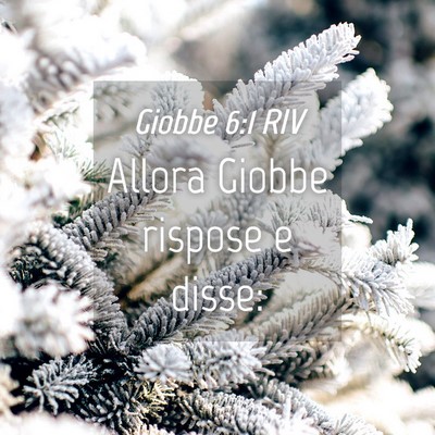 Picture 04 - Giobbe 6:1 RIV - Allora Giobbe rispose e - Bible Verse Picture