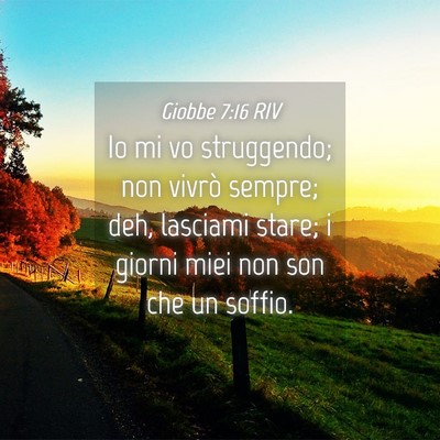 Picture 04 - Giobbe 7:16 RIV - Io mi vo struggendo; non vivrò sempre; deh, - Bible Verse Picture