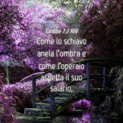 Picture 04 - Giobbe 7:2 RIV - Come lo schiavo anela l’ombra e come - Bible Verse Picture