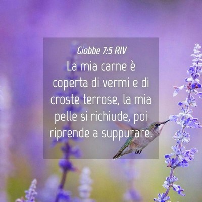 Picture 04 - Giobbe 7:5 RIV - La mia carne è coperta di vermi e di croste - Bible Verse Picture