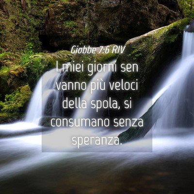Picture 04 - Giobbe 7:6 RIV - I miei giorni sen vanno più veloci della spola, - Bible Verse Picture