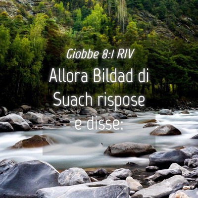 Picture 04 - Giobbe 8:1 RIV - Allora Bildad di Suach rispose e - Bible Verse Picture