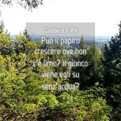 Picture 04 - Giobbe 8:11 RIV - Può il papiro crescere ove non c’è limo? Il - Bible Verse Picture
